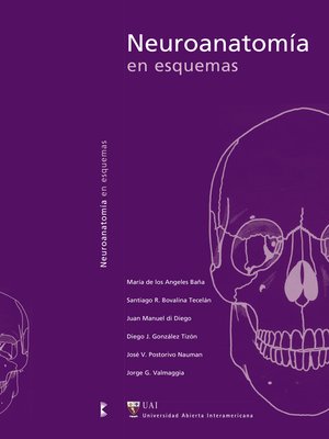 cover image of Neuroanatomía en esquemas